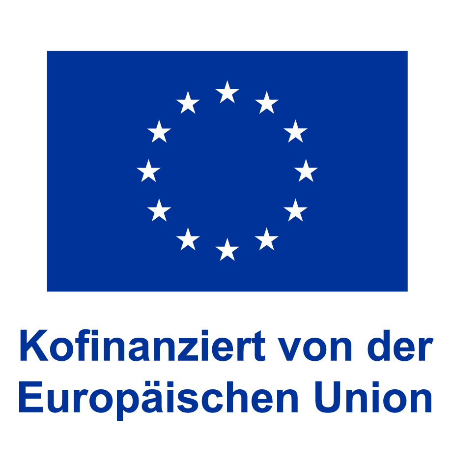 Co-funded by the European Union
